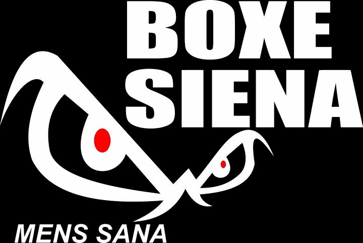 BOXE SIENA MENS SANA